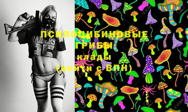 бошки Беломорск