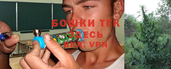 сатива Белоозёрский