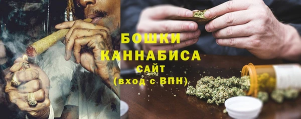 прущие крисы Белокуриха