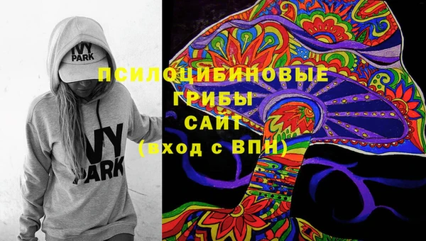 прущие крисы Белокуриха