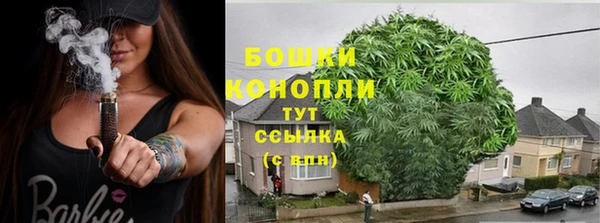 прущие крисы Белокуриха