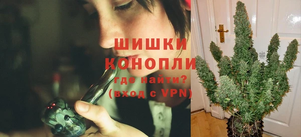 прущие крисы Белокуриха