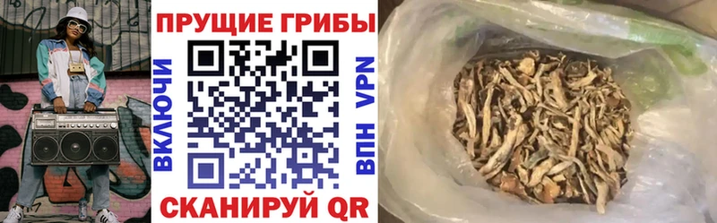Галлюциногенные грибы MAGIC MUSHROOMS  Богородск 