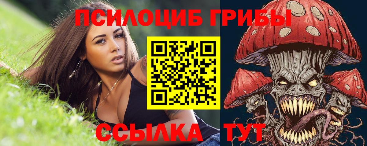 Псилоцибиновые грибы Psilocybine cubensis  Богородск 